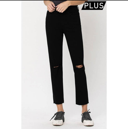 Vervet-Plus High Rise Straight W Raw Hem