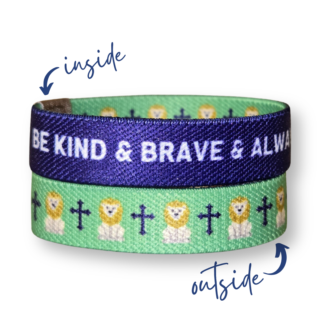 Pink Salt Riot - Kind and Brave Lion Kids TruthBand