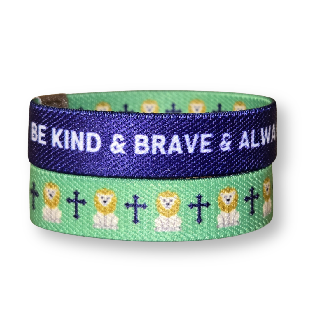 Pink Salt Riot - Kind and Brave Lion Kids TruthBand