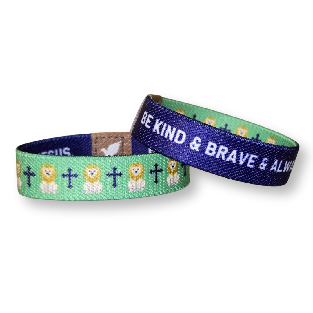Pink Salt Riot - Kind and Brave Lion Kids TruthBand