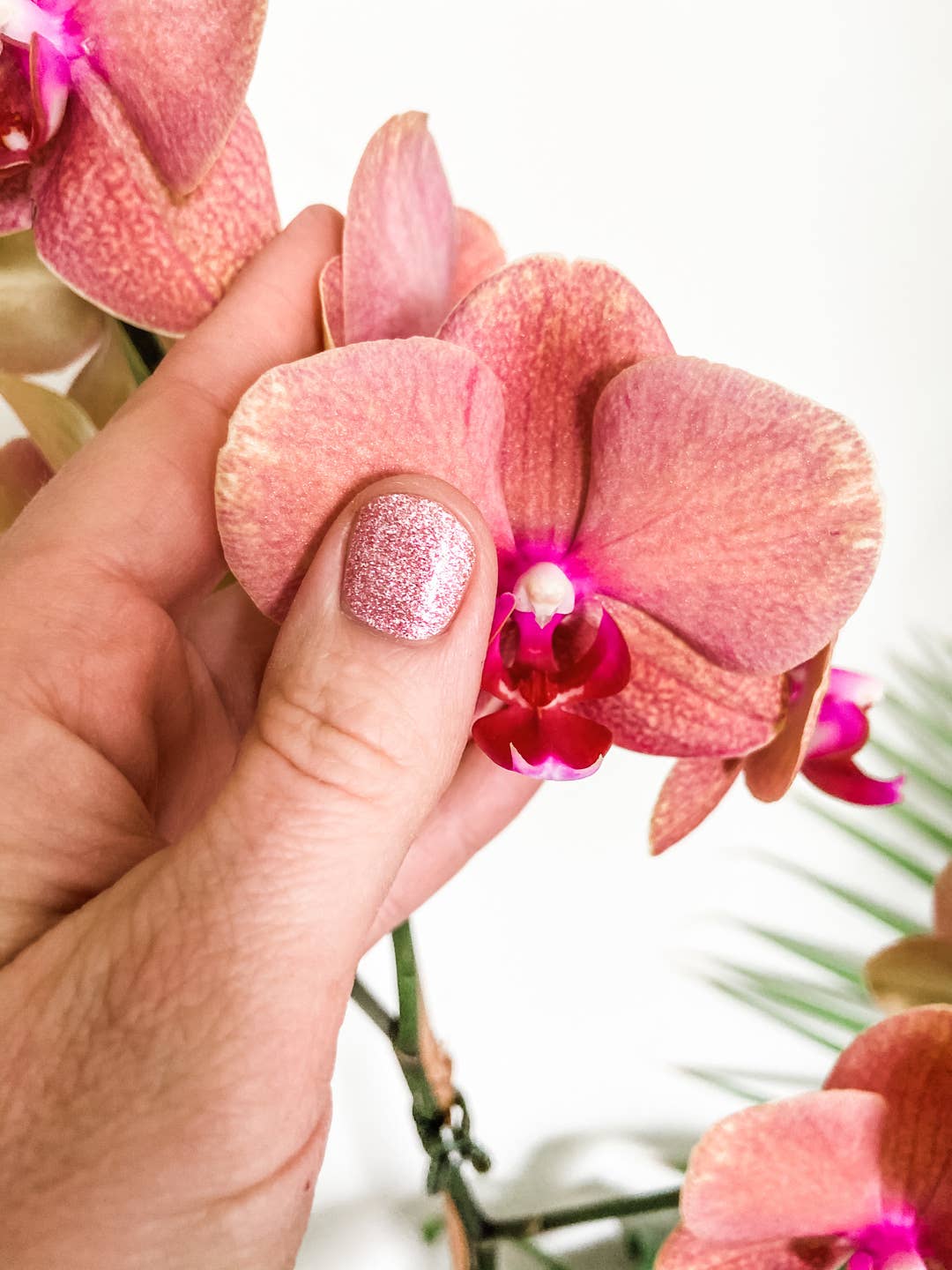 Ivy & Ash - Pretty in Pink Shimmer | Light Baby Pink Glitter Nail Wraps